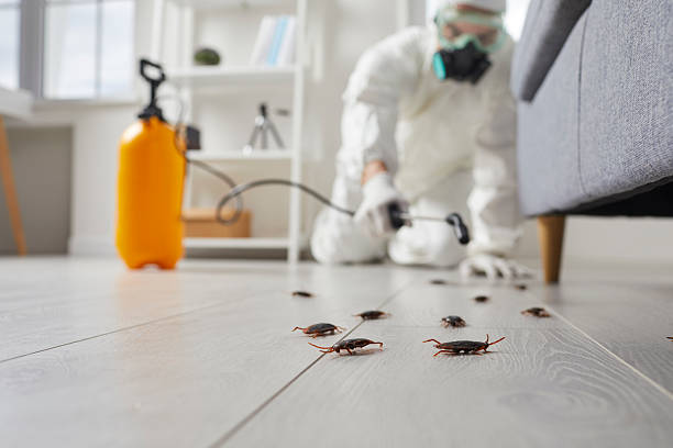 Post-Treatment Bed Bug Interceptor Monitoring in Beaver